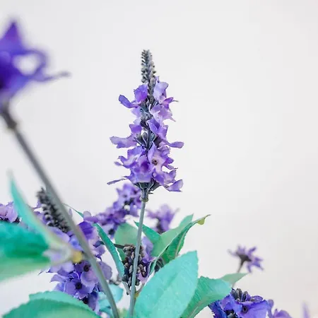 Sterflat 83 Apartment Egmond aan Zee